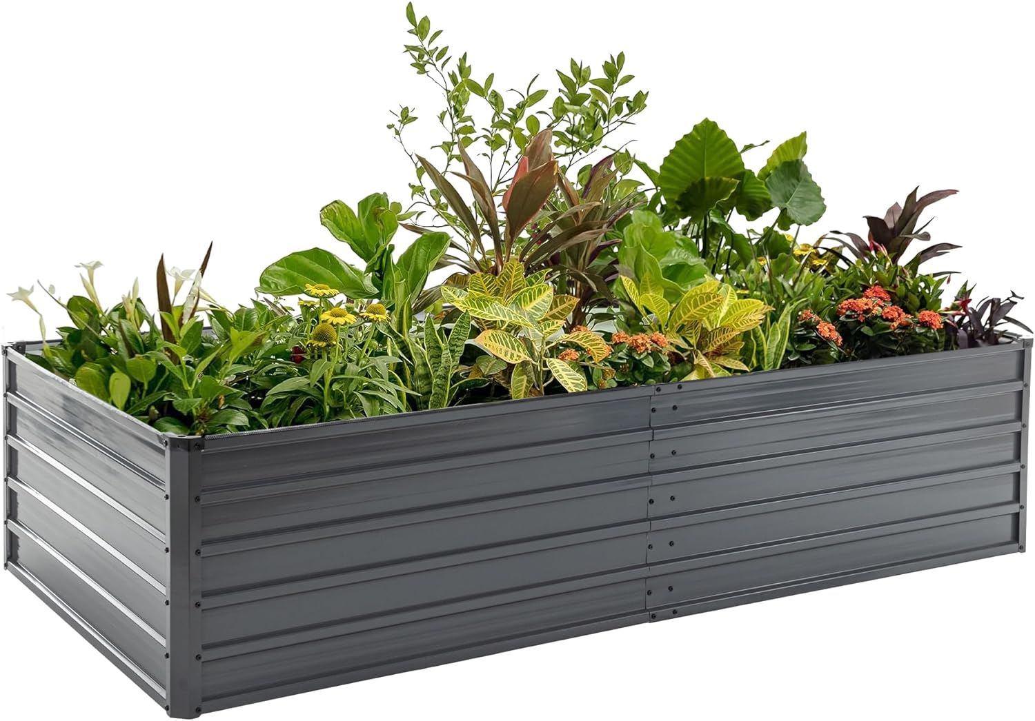 Raised Garden Bed