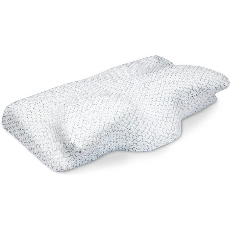 Sepoveda Memory Foam Pillow