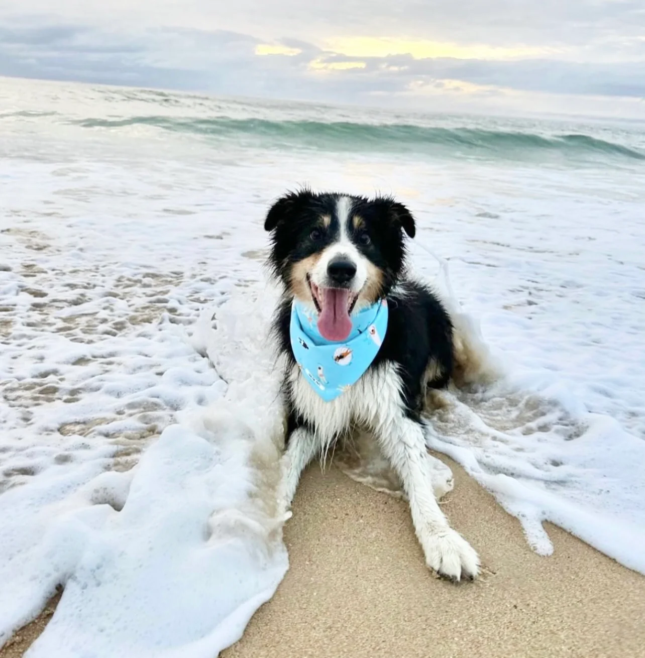 Beach Days