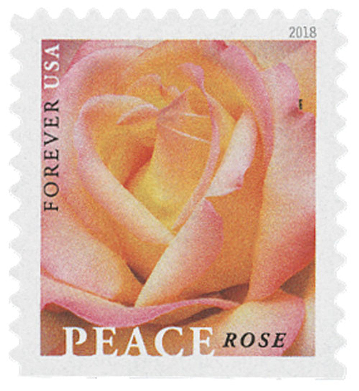 2018 First-Class Forever Stamp - Peace Rose