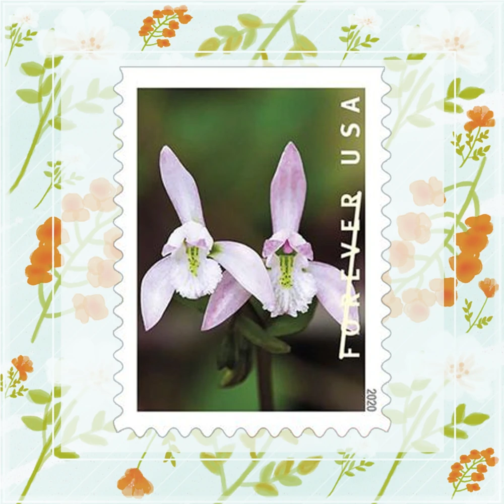 Postage Stamps Wild Orchids 100pcs