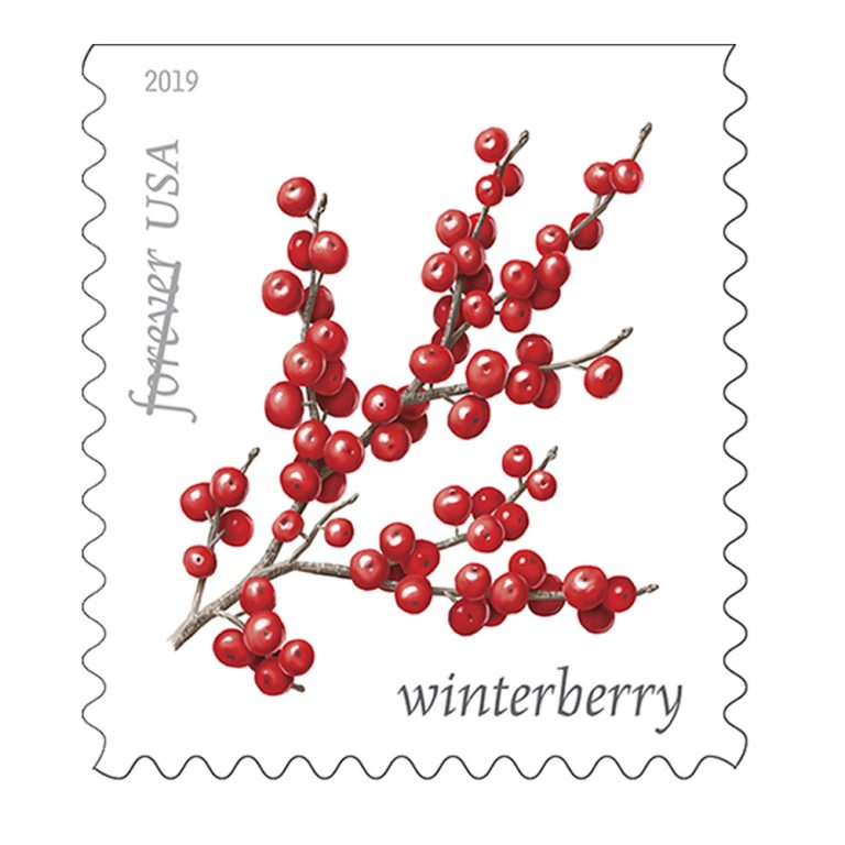 Winter Berries (5 Sheets of 20)