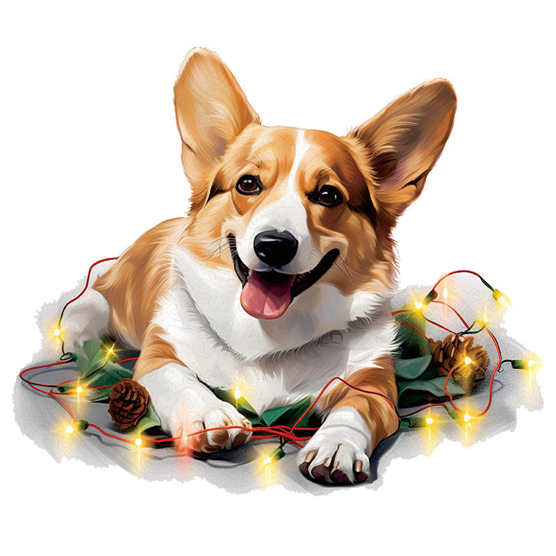 🔥Siste Dag 92% - SøT Pembroke Welsh Corgi Hund