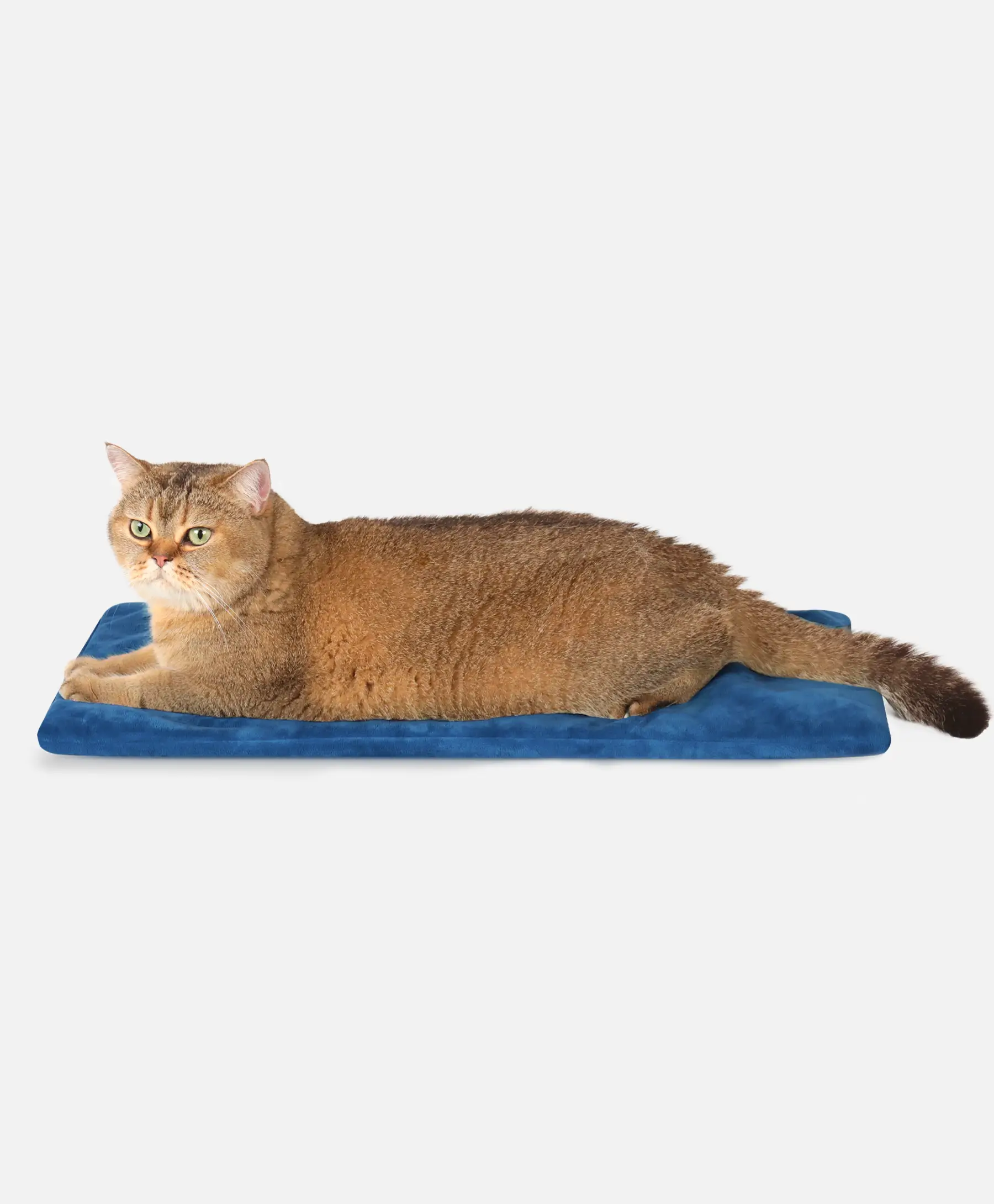 Rolimate Heated Pet Pad - Safe & Durable Warming Solution for Cats and Dogs