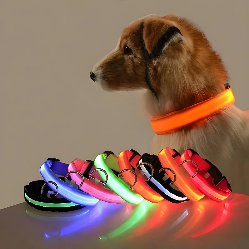 Dog LED Nylon Collar