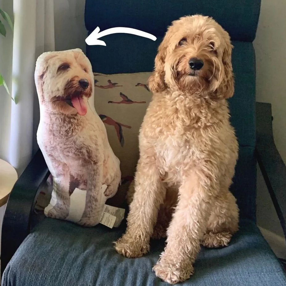 Your Own Custom Personalized Pet Promise Pillow