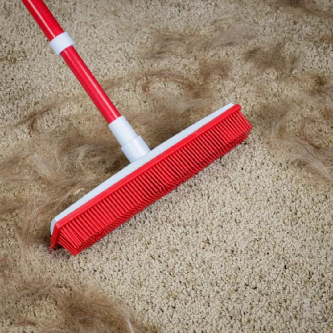 Carpet Brush