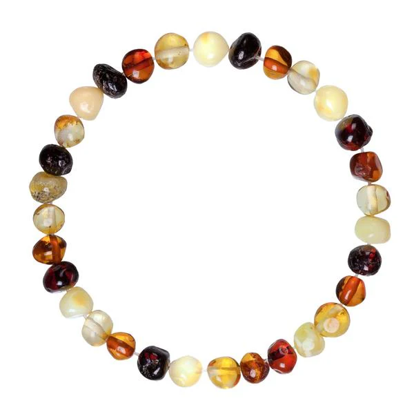 Baltic Amber Bracelet - Multicolor Polished - Adult