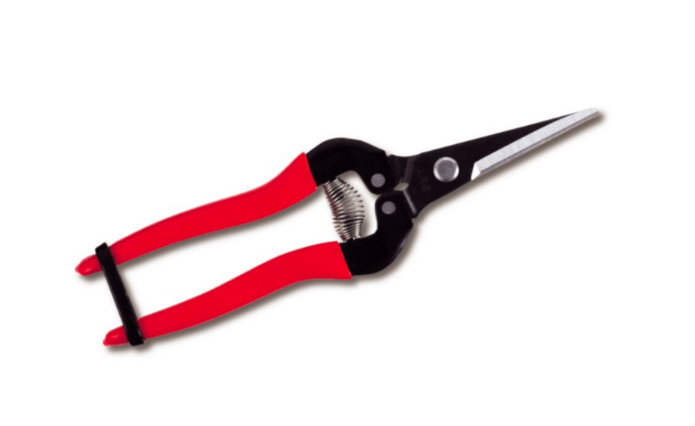 ARS Fruits Pruner and Trimmer