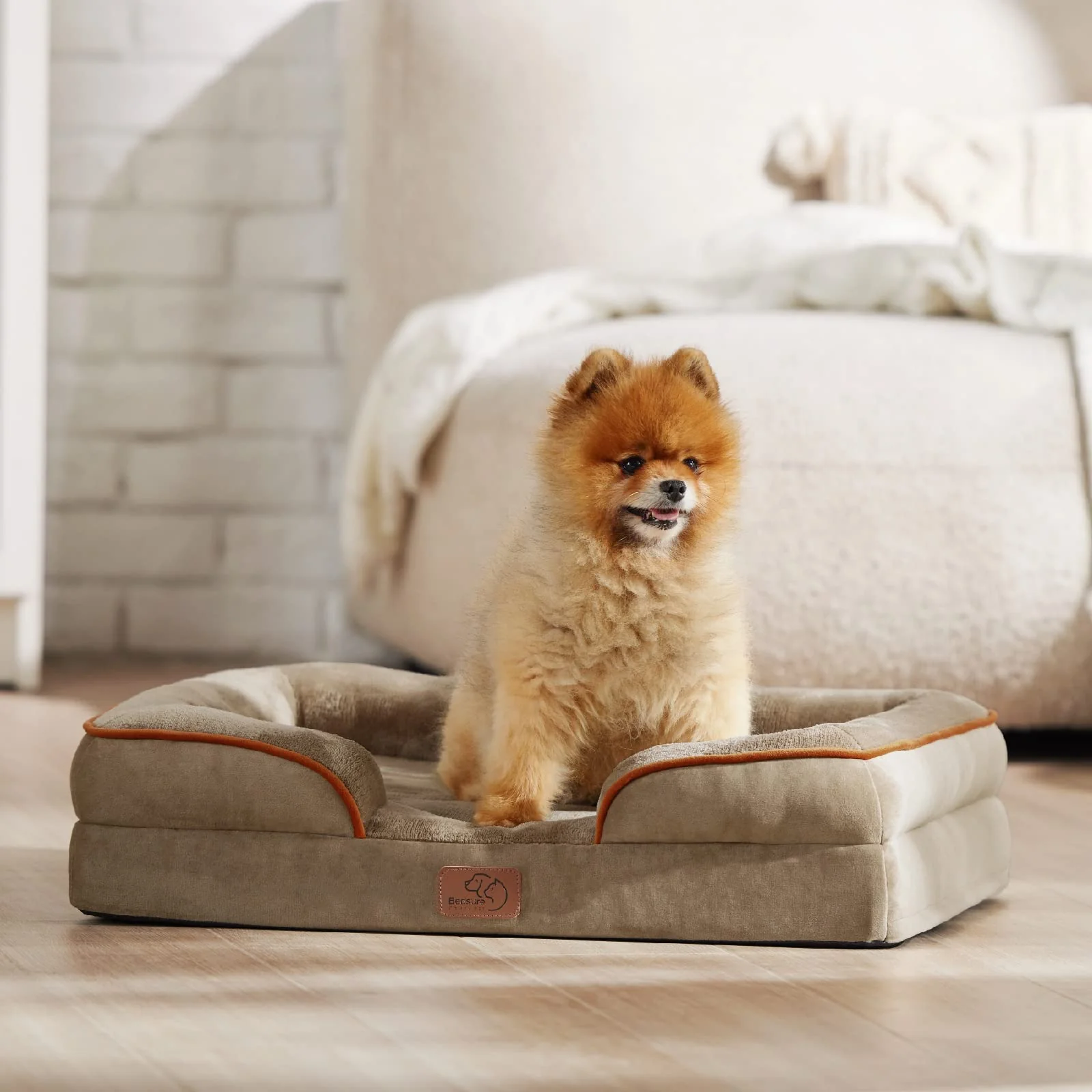 Foam Orthopedic Dog Bed with Removable Washable Cover