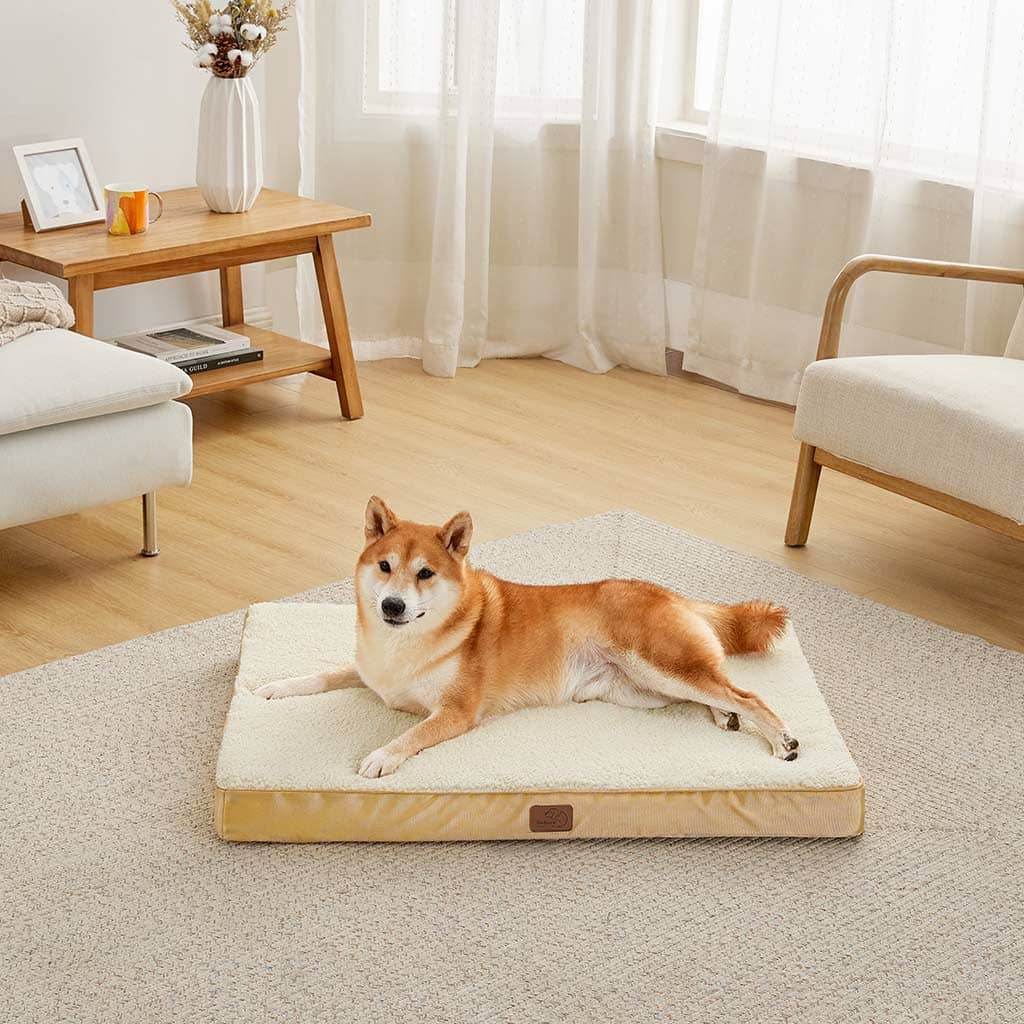 Large Orthopedic Washable Dog Bed