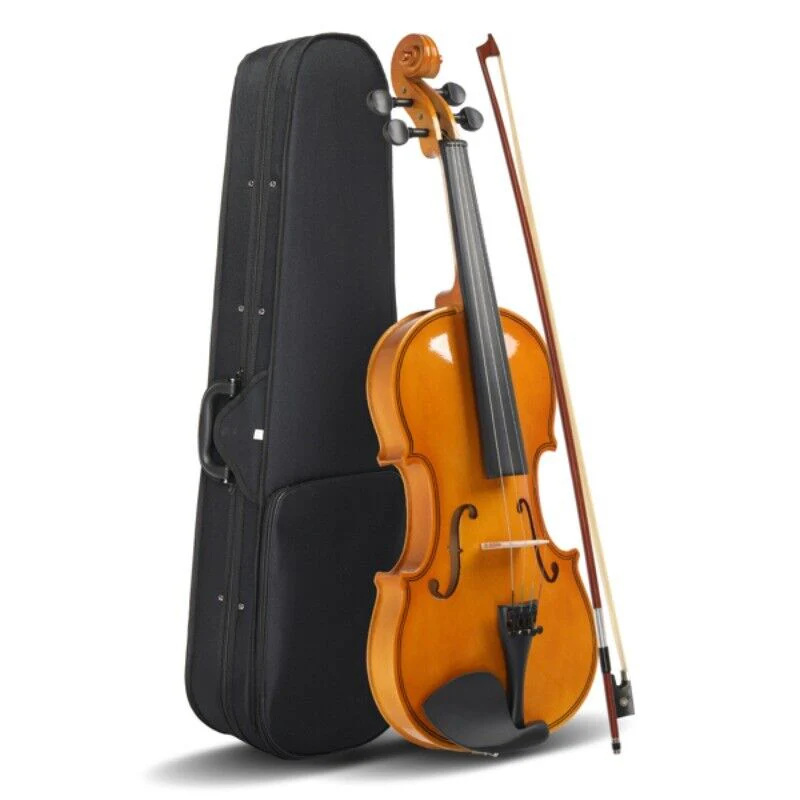 4/4 Violin Set for Adults Beginners with Hard Case,Violin Bow,Shoulder