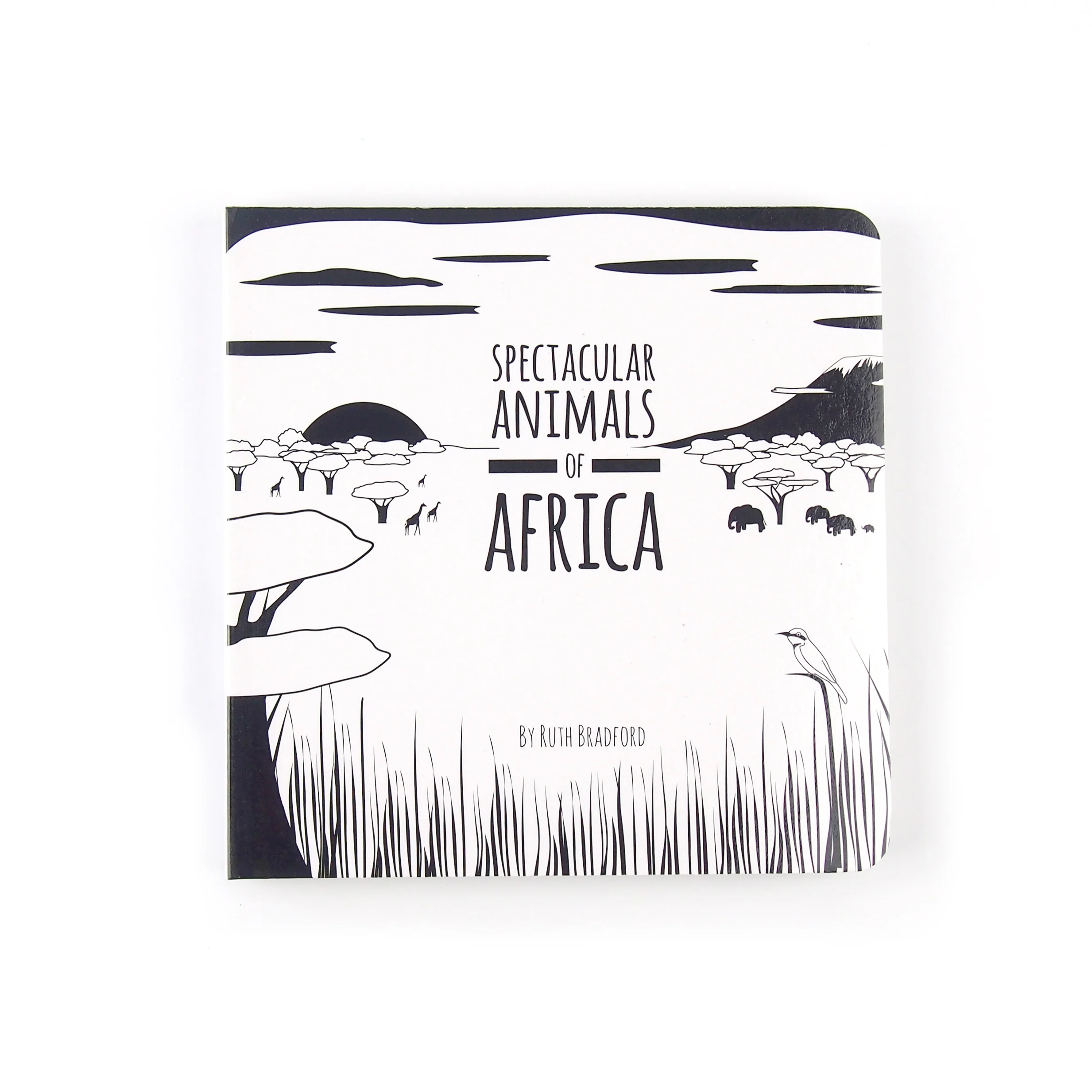 Spectacular Africa animal baby book