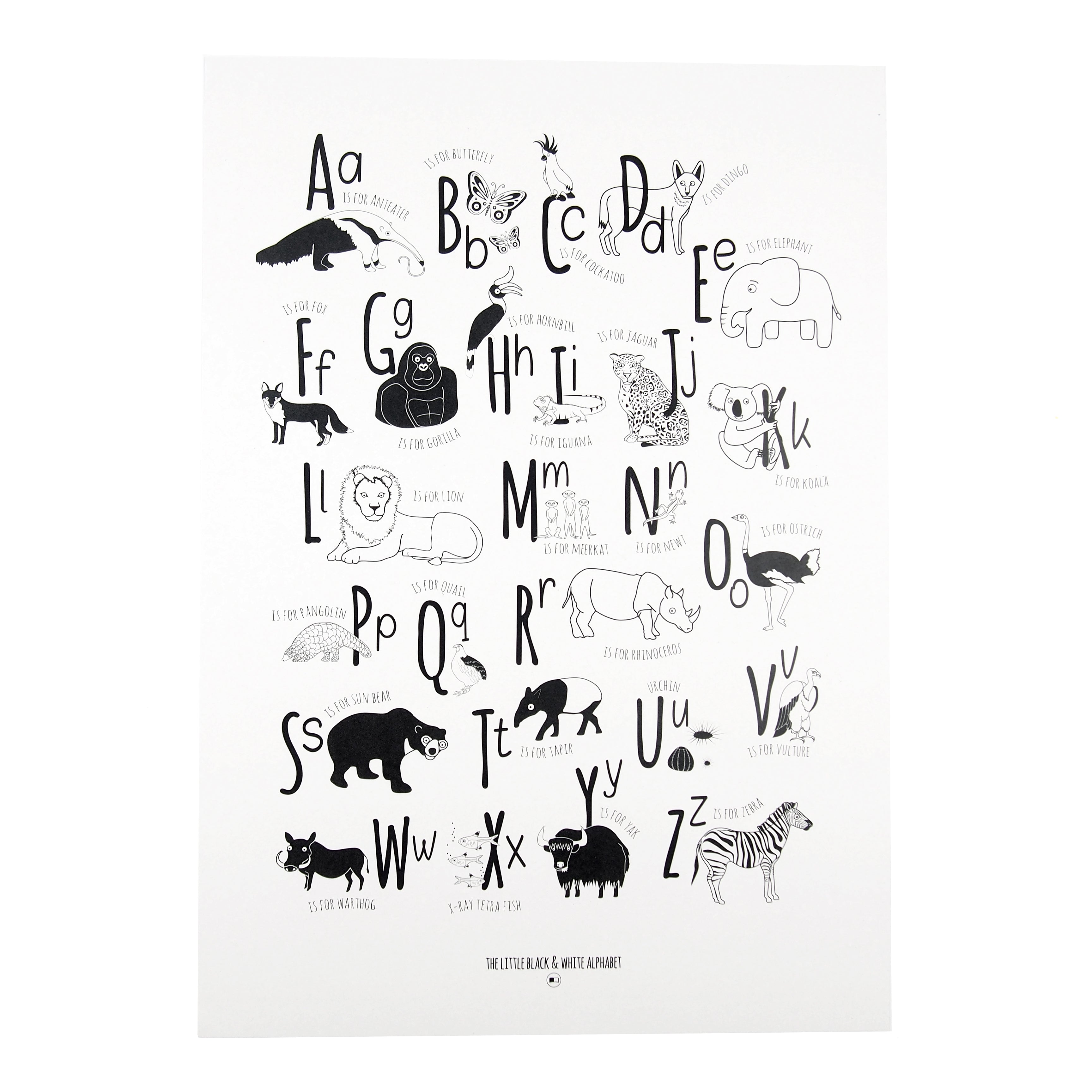 A is for Anteater Animal Alphabet Print