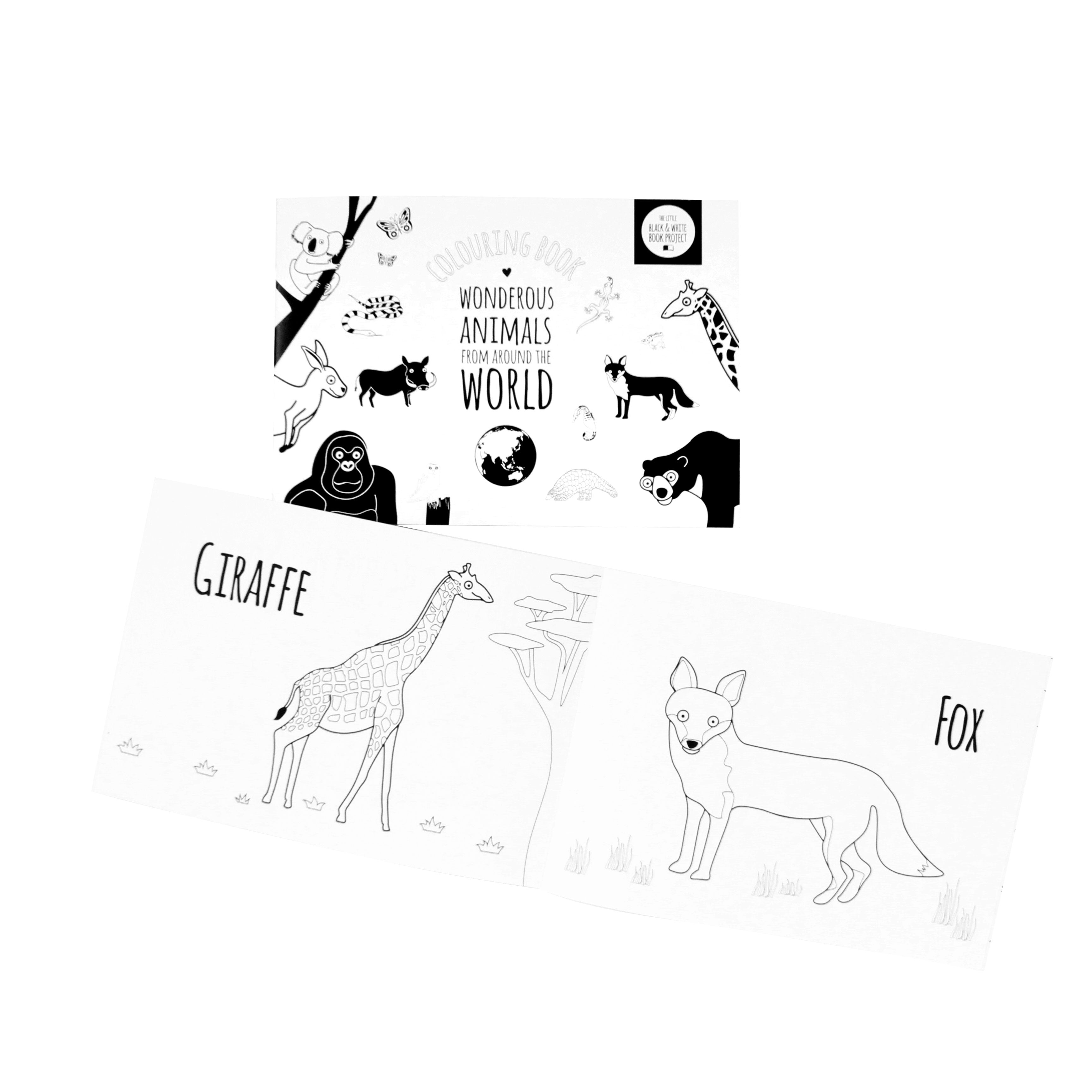 Wonderous Animal colouring book for little artists