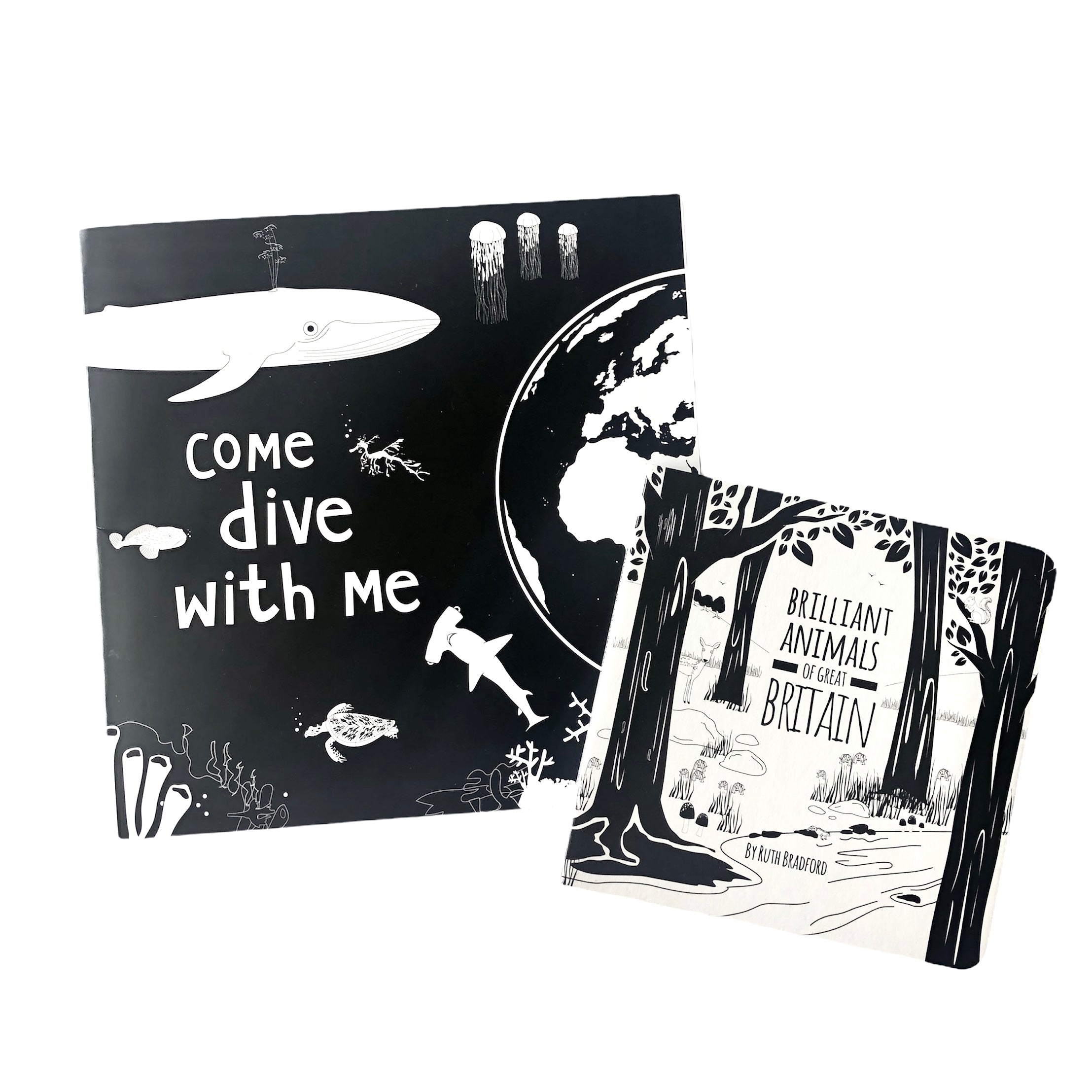 Oceans storybook and board book gift set