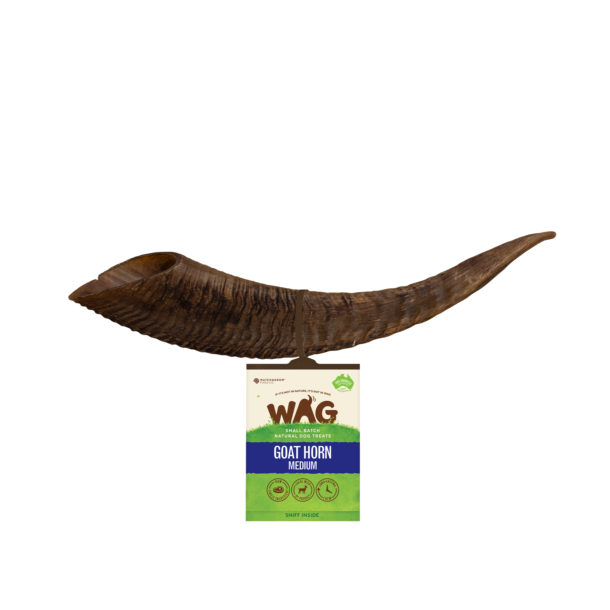 Goat Horn