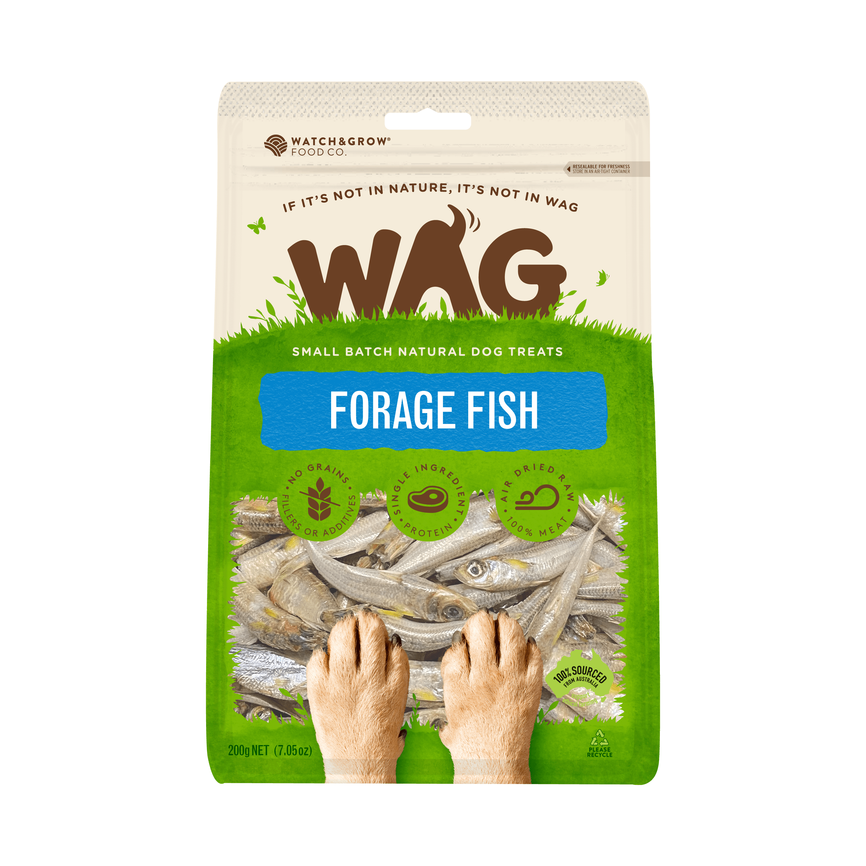 Forage Fish