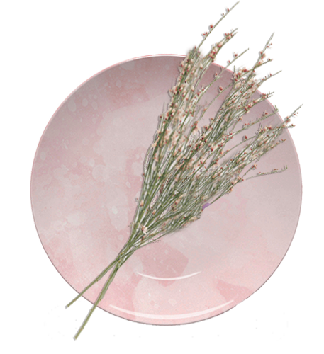 Watercolor Coral Plate