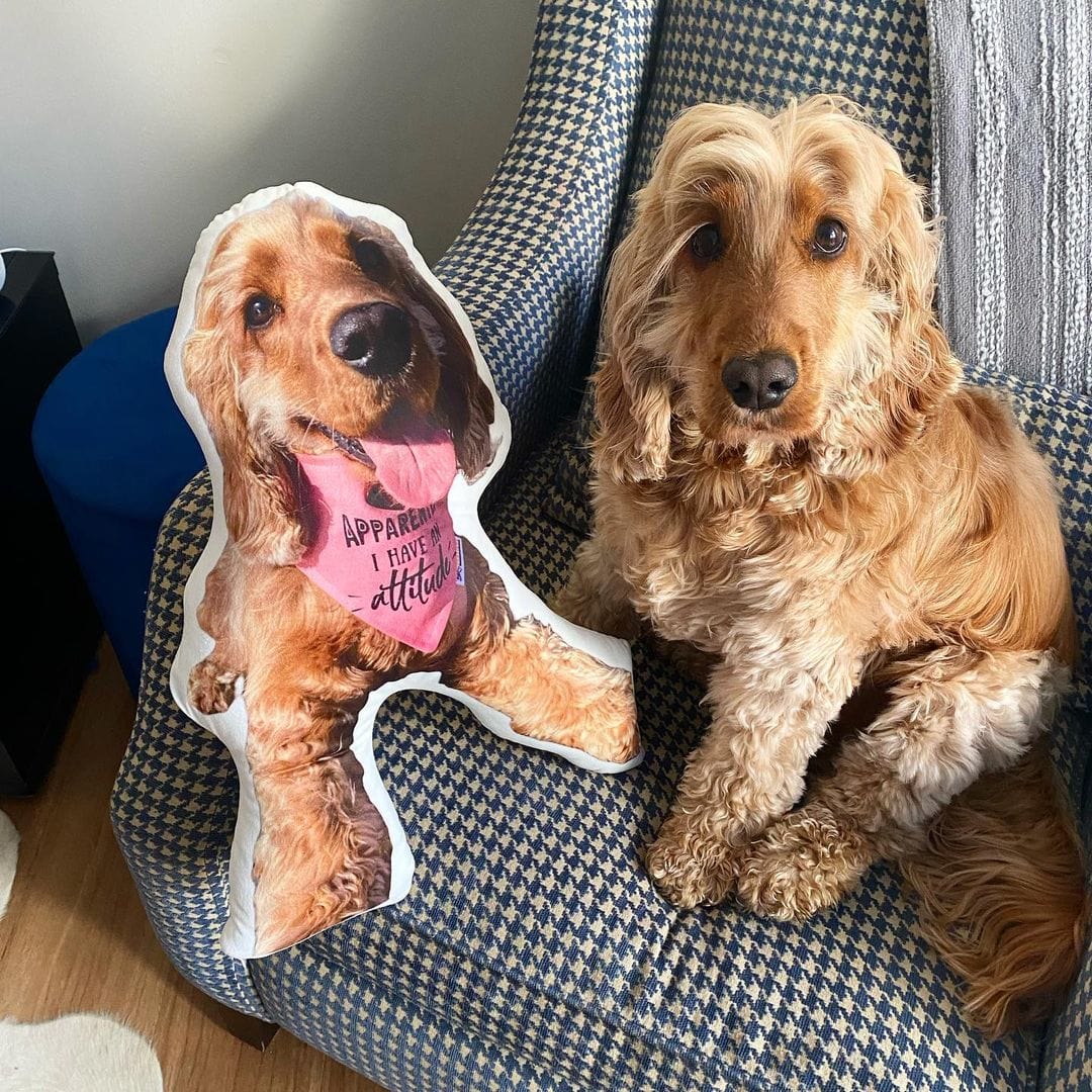 Custom Pet Photo Pillow