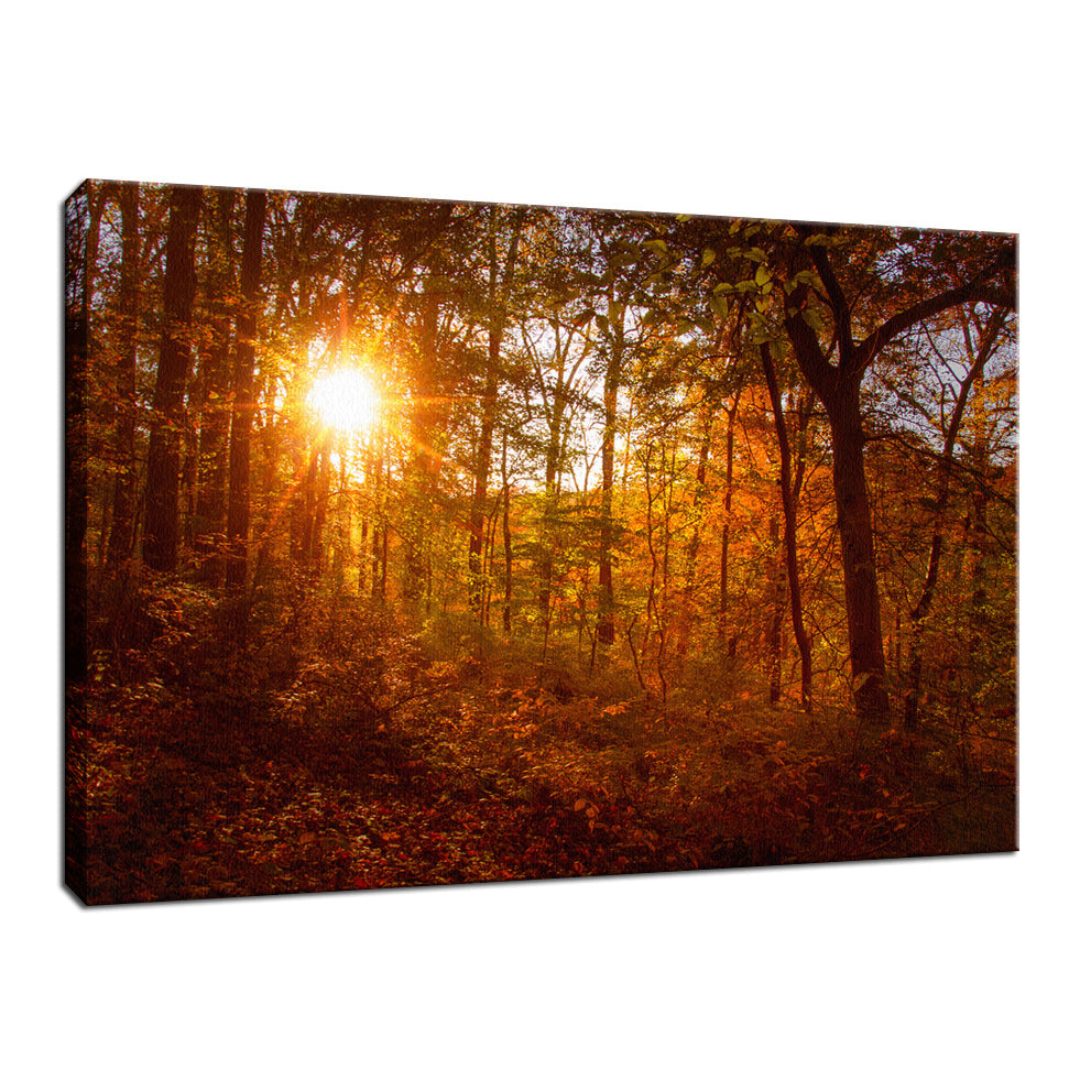 Autumn Sunset in the Trees Landscape Photo - Canvas Fine Art Photography Print