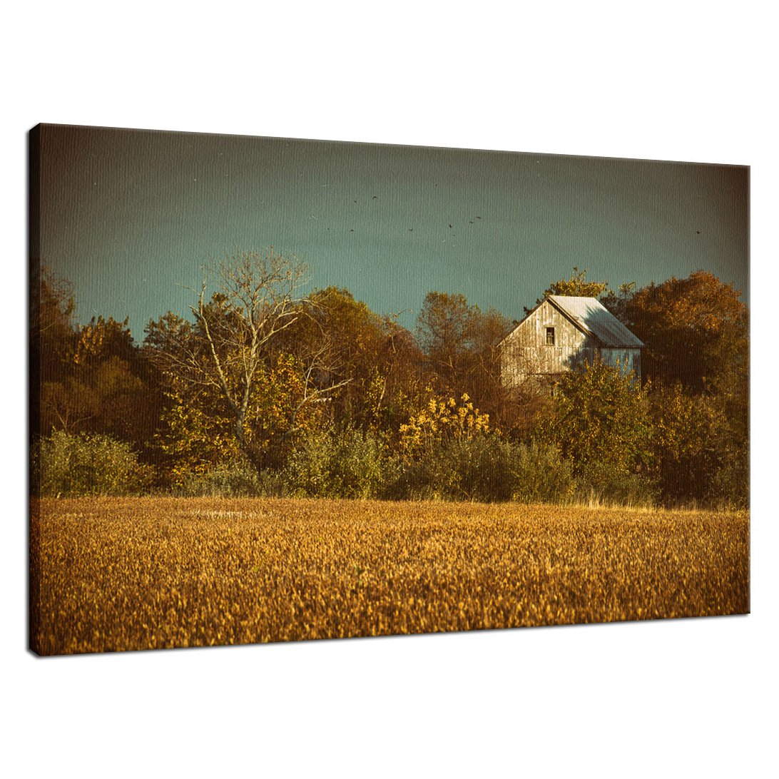 Abandoned Barn In The Trees Colorized Landscape - Canvas Fine Art Photography Print