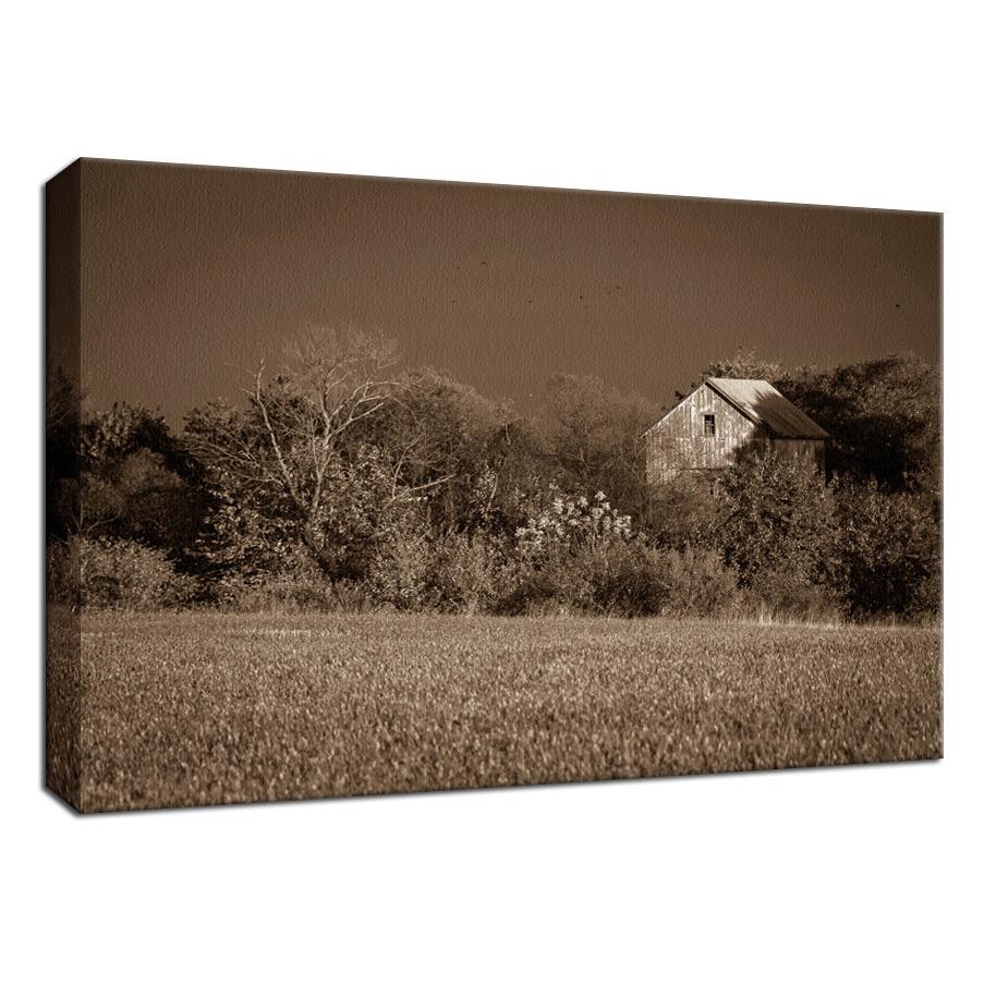 Abandoned Barn In The Trees Sepia Landscape - Canvas Fine Art Photography Print