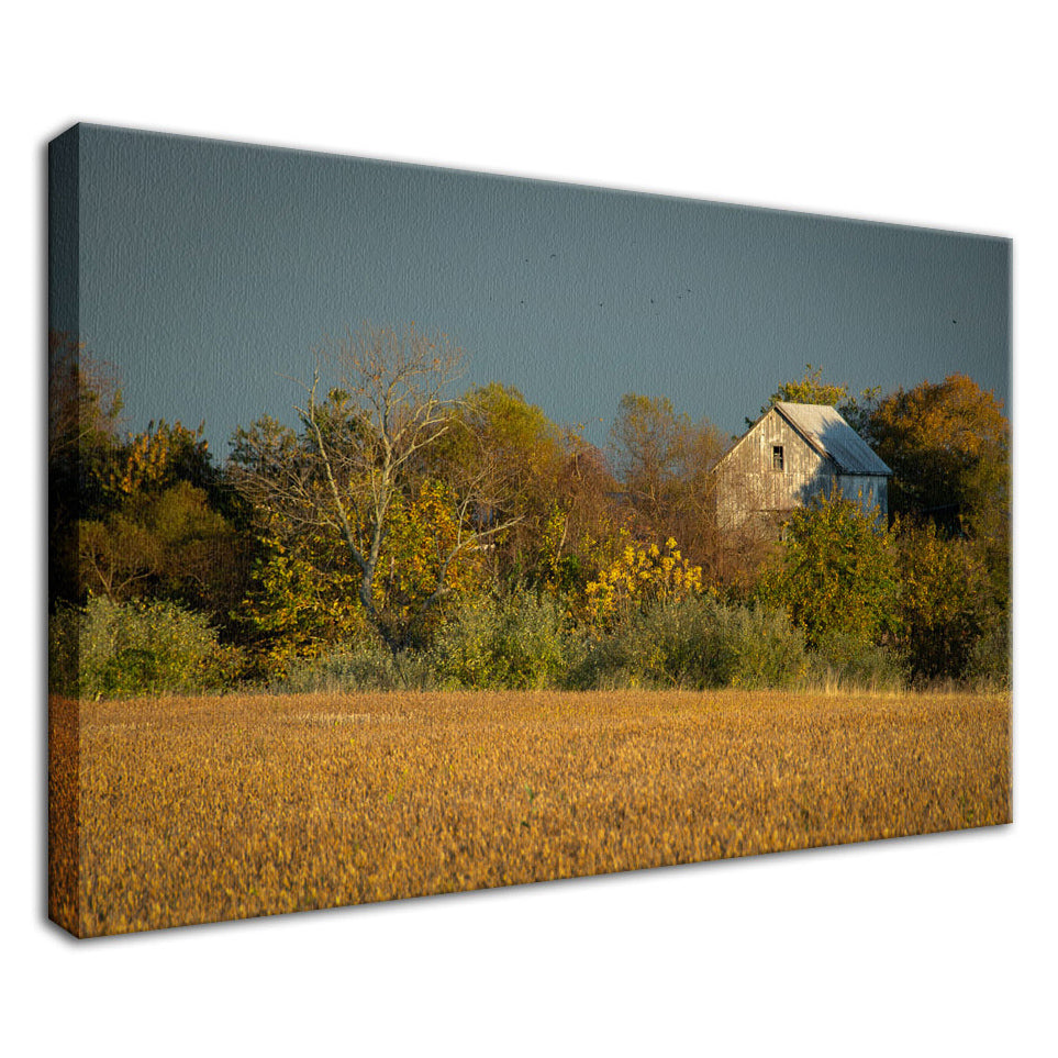 Abandoned Barn In The Trees Rural Landscape - Canvas Fine Art Photography Print