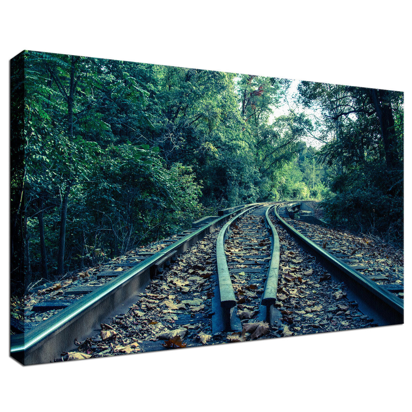 Lead Me into the Light Colorized Landscape - Print Art Photography Fine Art Canvas