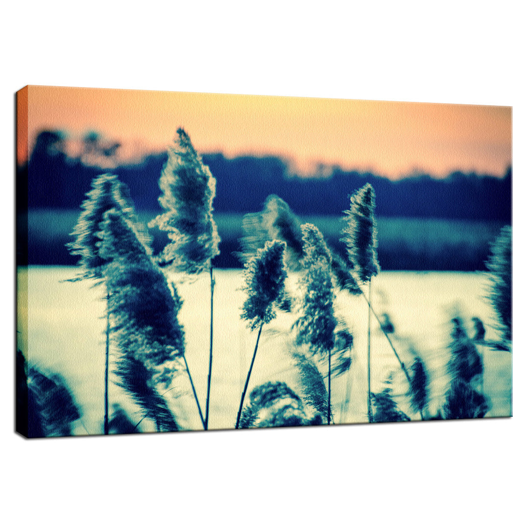 Sunset on the Marsh Rustic Coastal Botanical Nature - Canvas Fine Art Photography Print