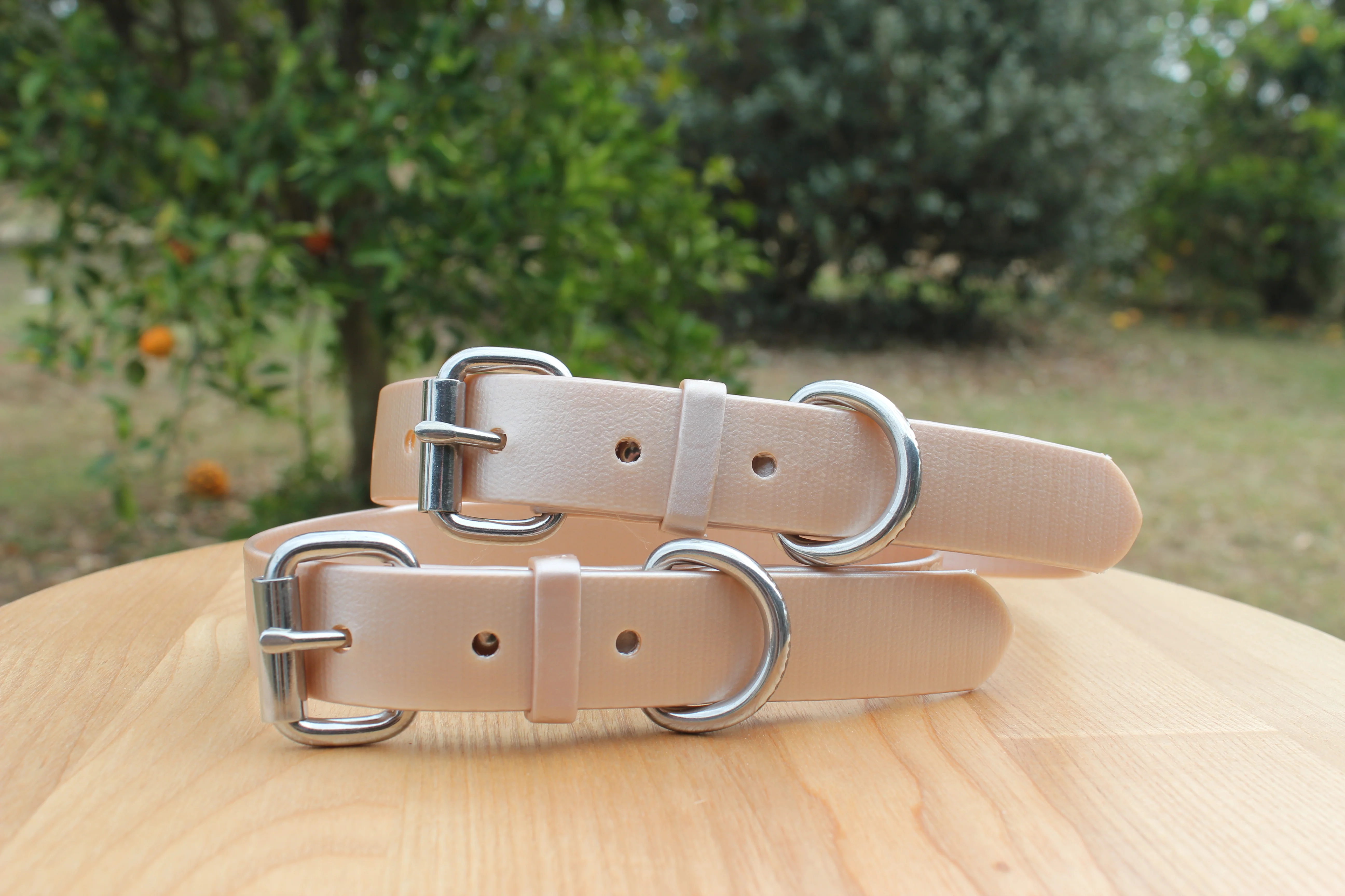 Champagne Shimmer (Rose Gold) Dog Collar