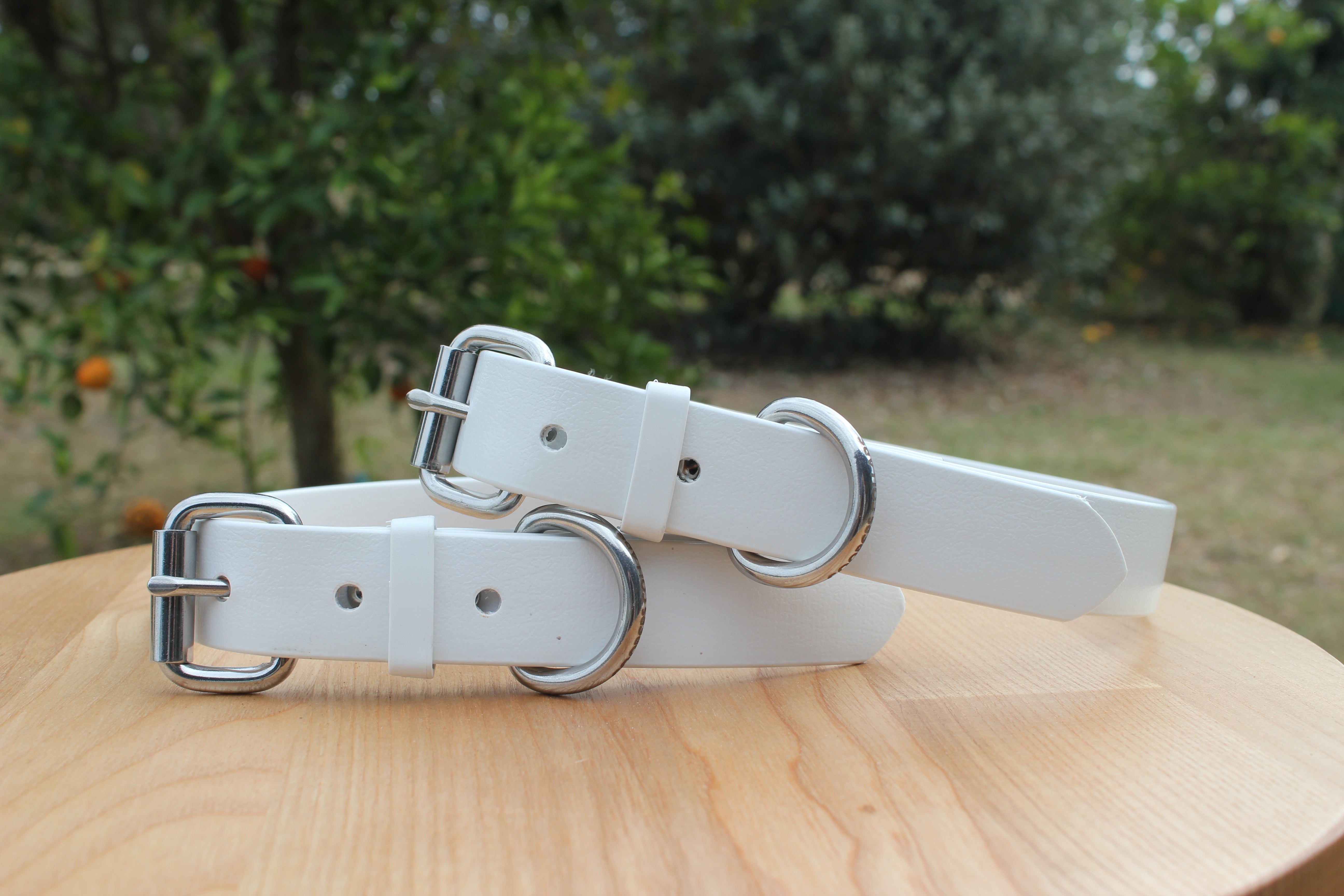 White Dog Collar