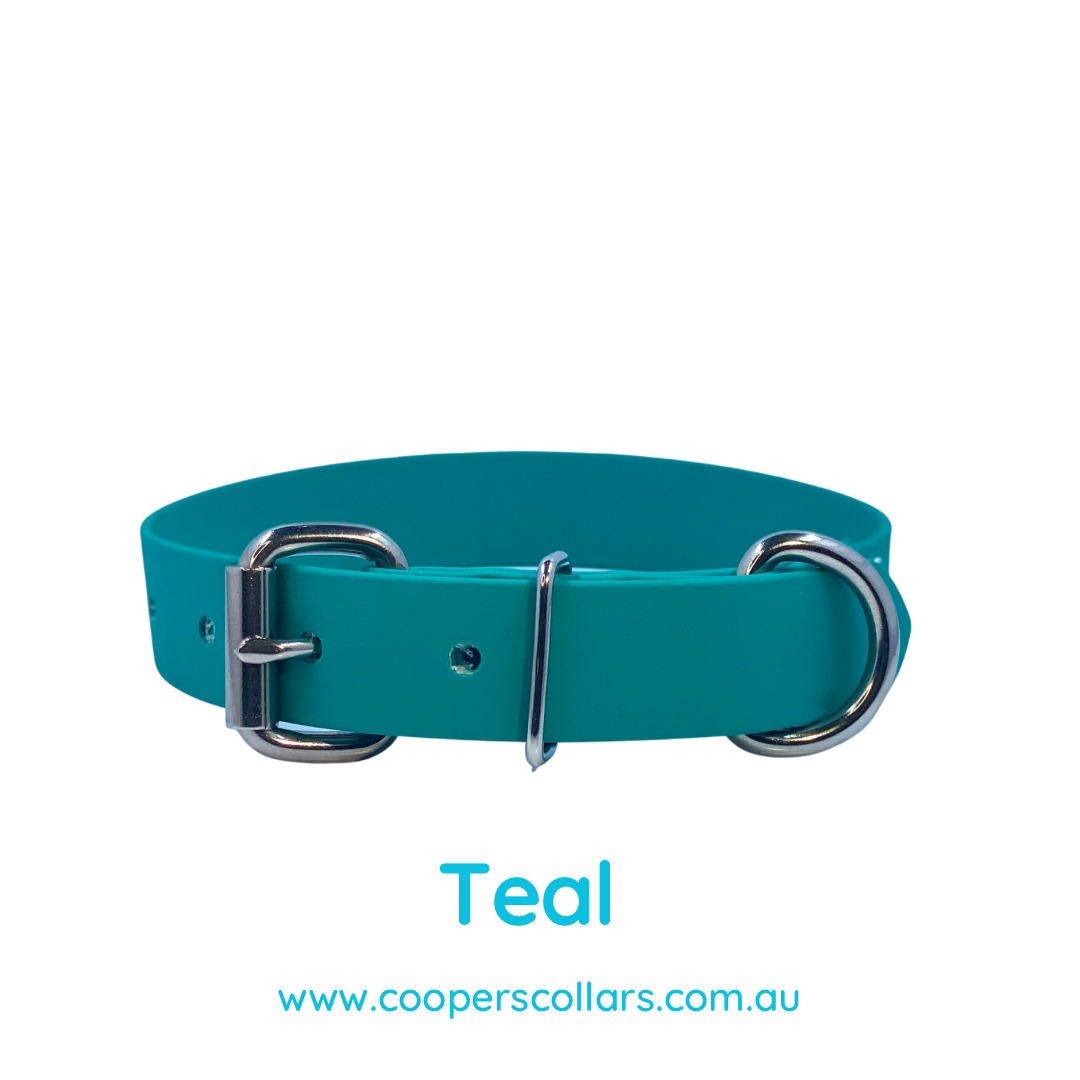 Teal Green Dog Collar