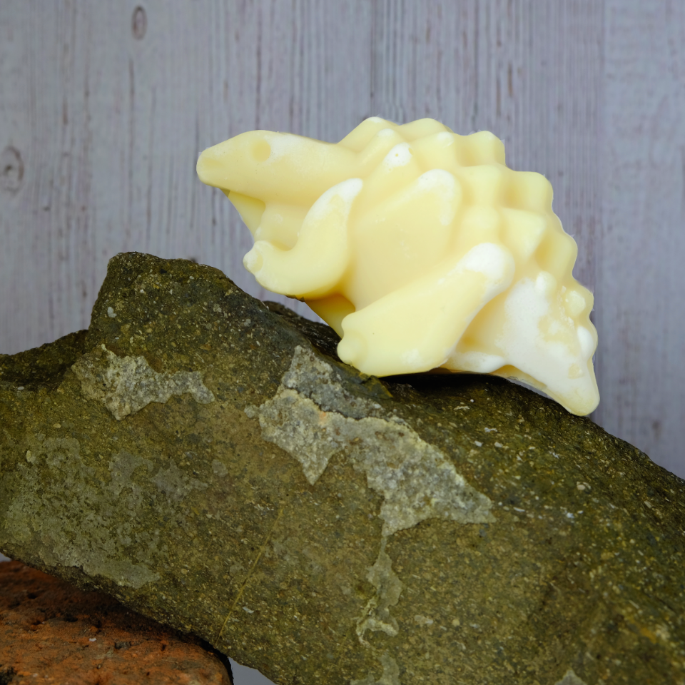 Danny Dinosaur Children's Soap & Shampoo Bar