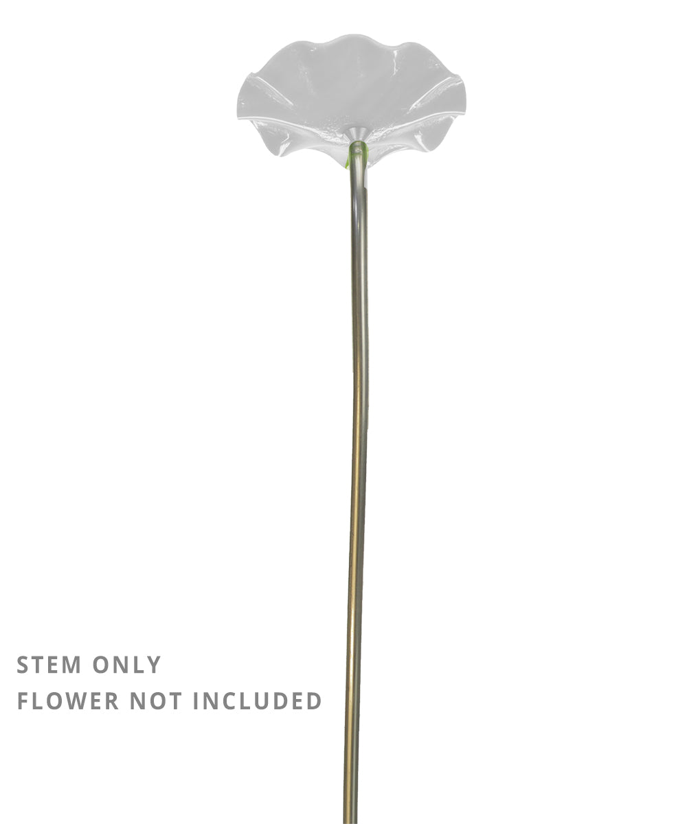 Stems (without flowers) to use in your own vase