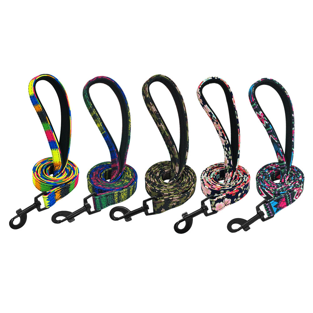 Astro Colourful Stylish Dog Leash