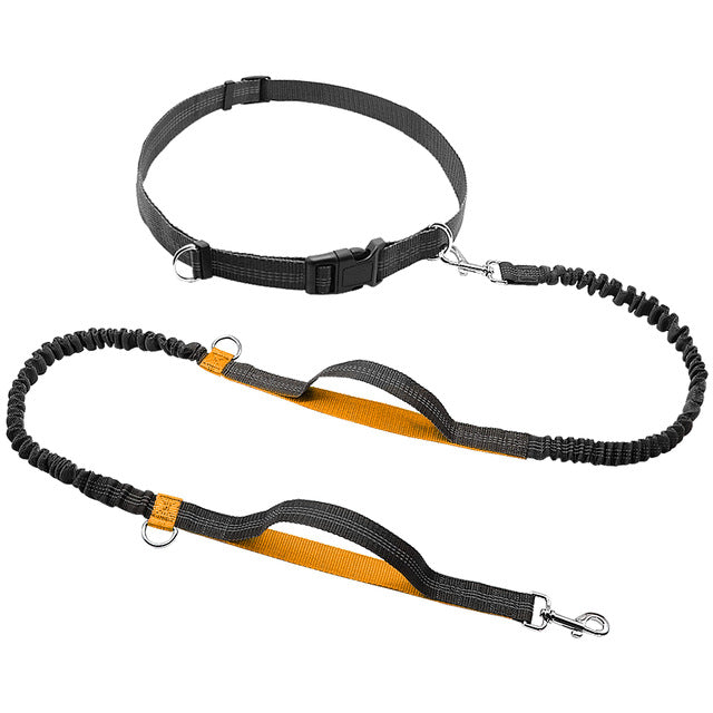 Hands Free Elastic Dog Leash for Joggers + Free Gift