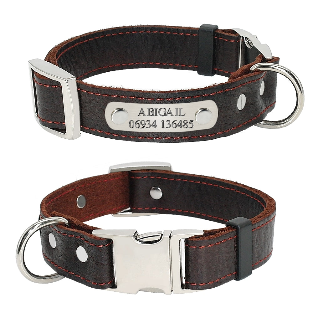 Dog Collar Genuine Leather Brown Free Engraving