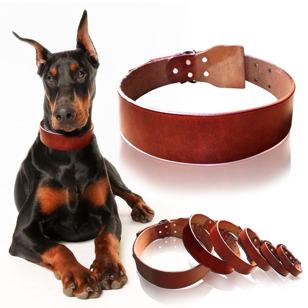 Theo Heavy Duty Genuine Leather Dog Collar