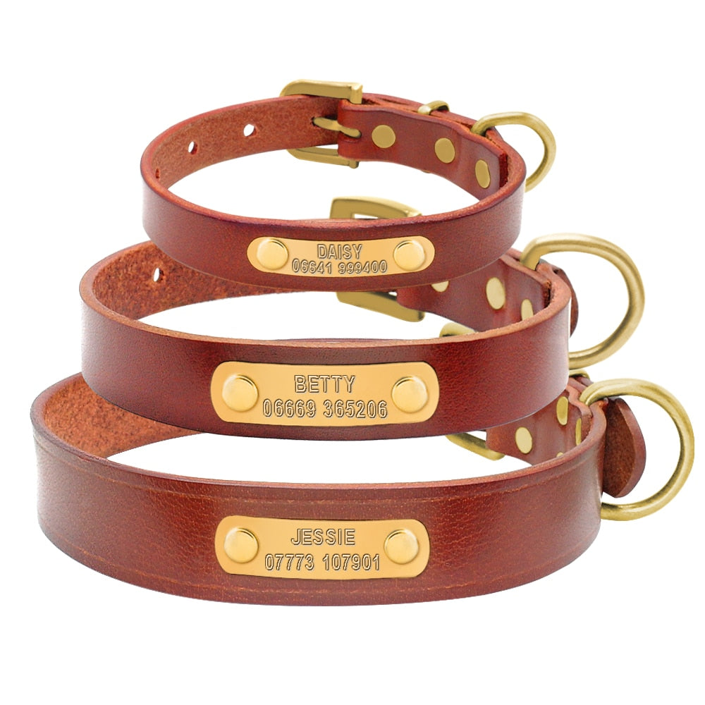 Dog Collar Genuine Leather Free Engraving