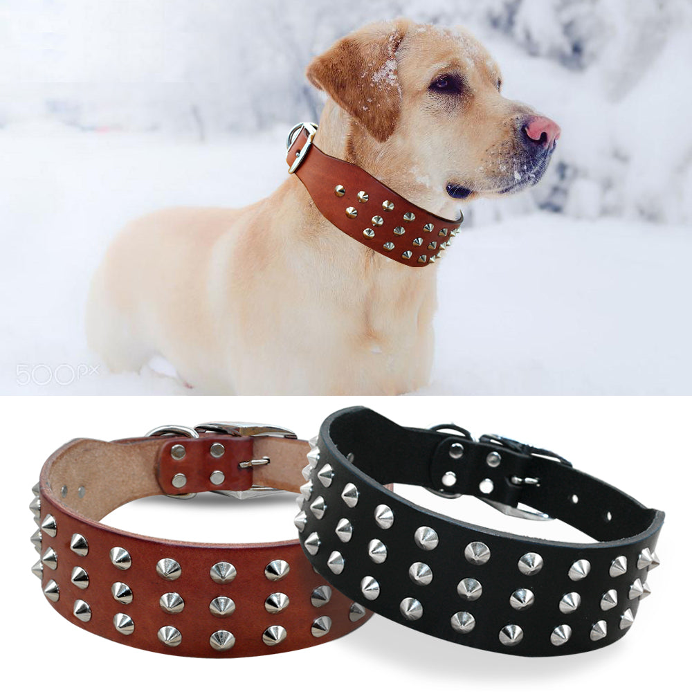 Cool Rivets Studded Genuine Leather Dog Collar