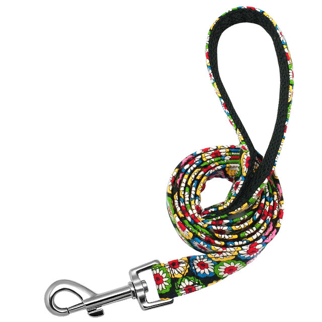 Calipso Nylon Dog Leash 120cm