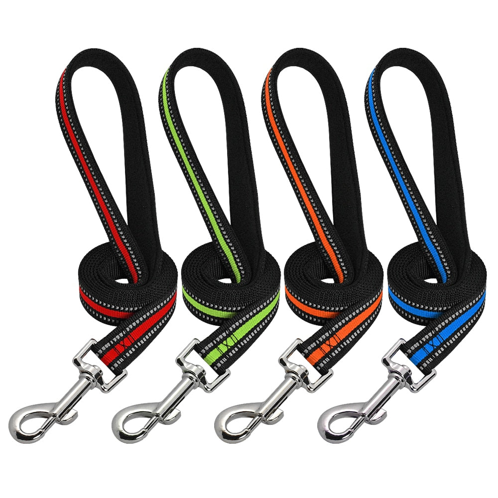 Luna Reflective Nylon Dog Leash 120cm