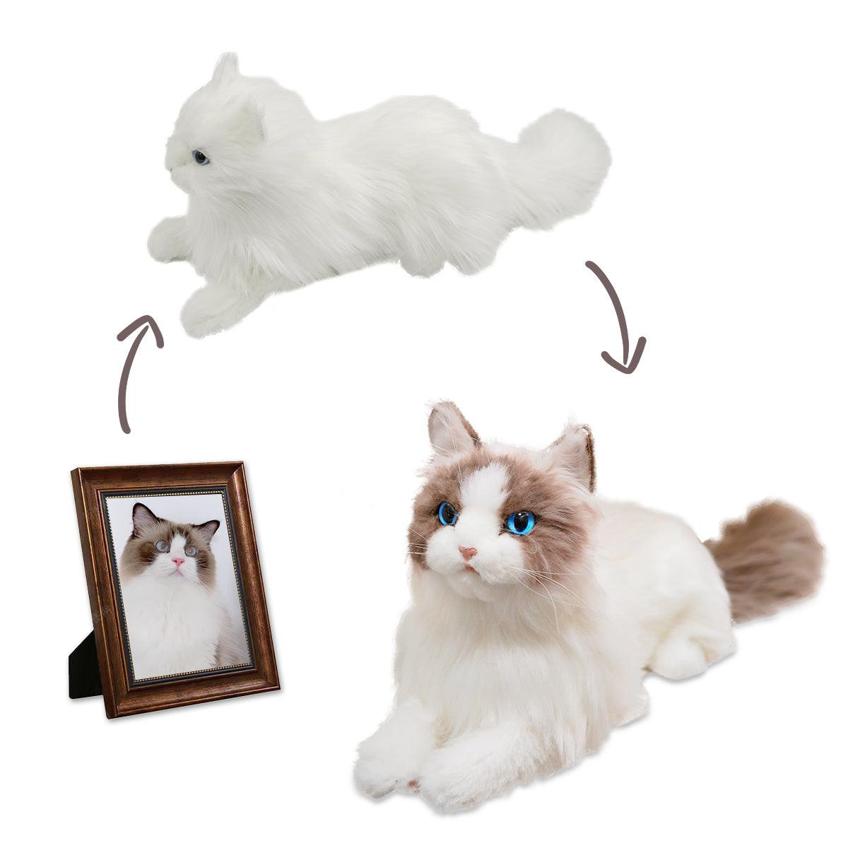 Basic customization of cat