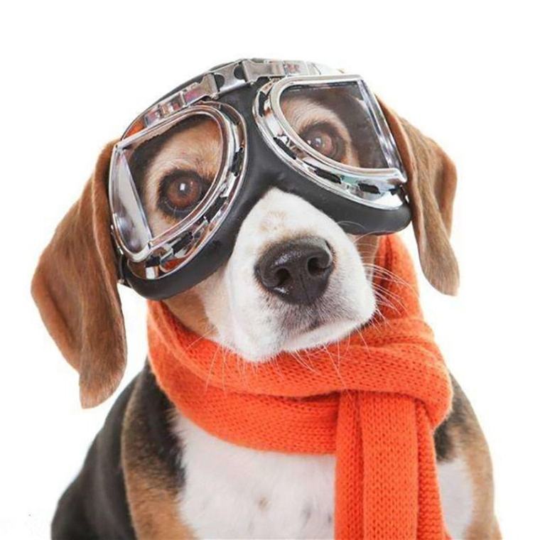 Dog Goggles For Large Dogs