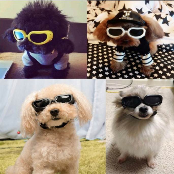 Adjustable Small Dog Goggles
