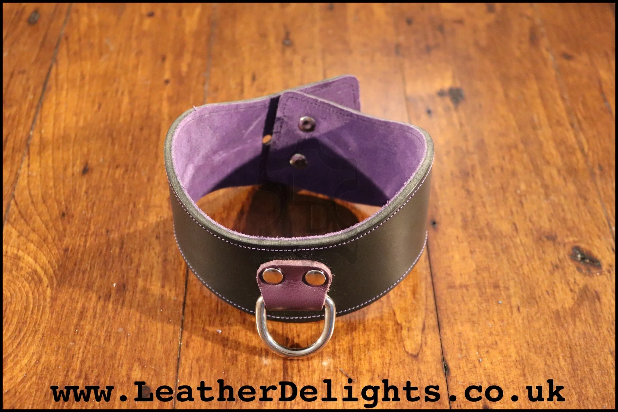 Black 2" Wide Contour Collar with Welded D Ring and Suede Lining