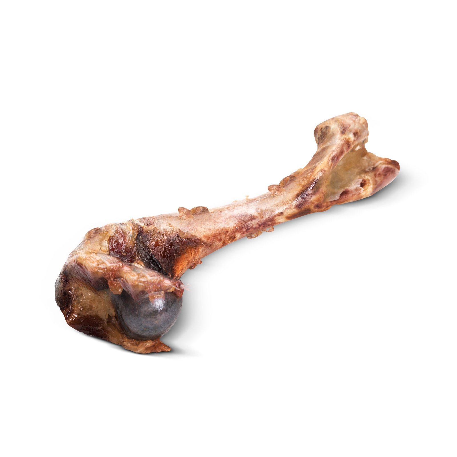 Dehydrated Pig Femur Bone Dog Chew