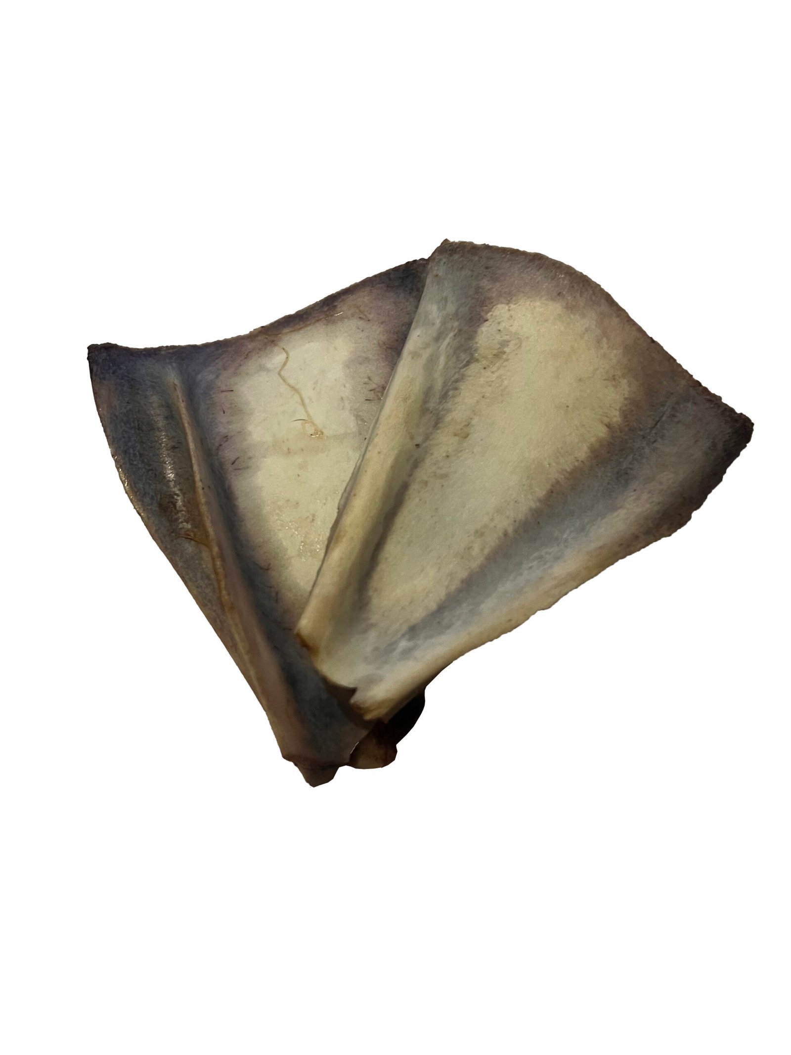 Dehydrated Shoulder Blades of Goat for Dogs and Cats