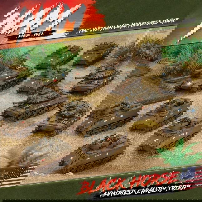 Nam 1965 - 1972: US Black Horse Cavalry Troop - Vietnam War - Flames o